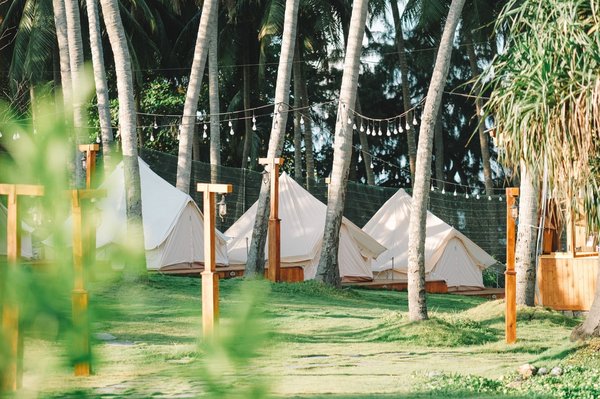 Camping avec étang de pêche : Les poissons les plus courants à pêcher dans les étangs des campings